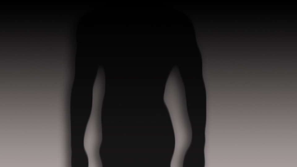 Sylwetka - dextergo2