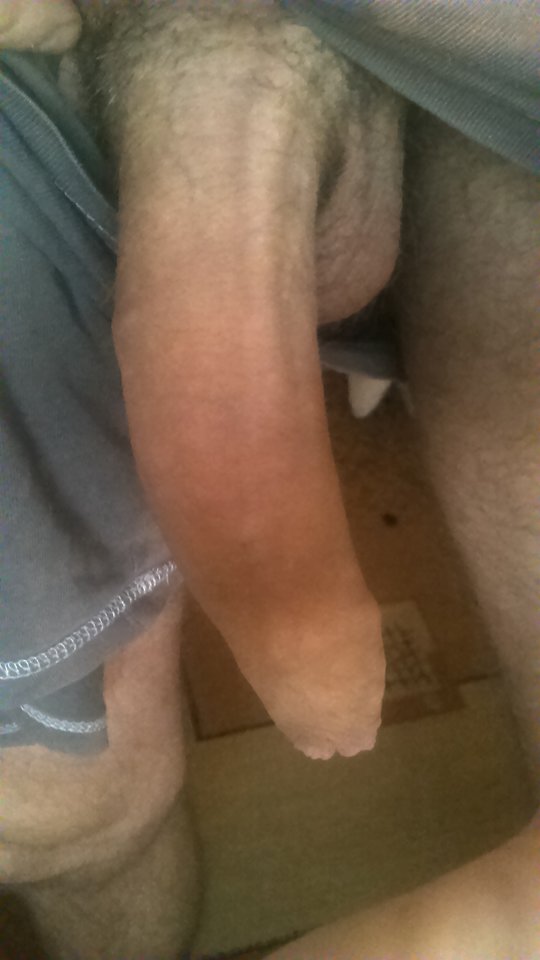 DSC_0384.JPG - omegakee