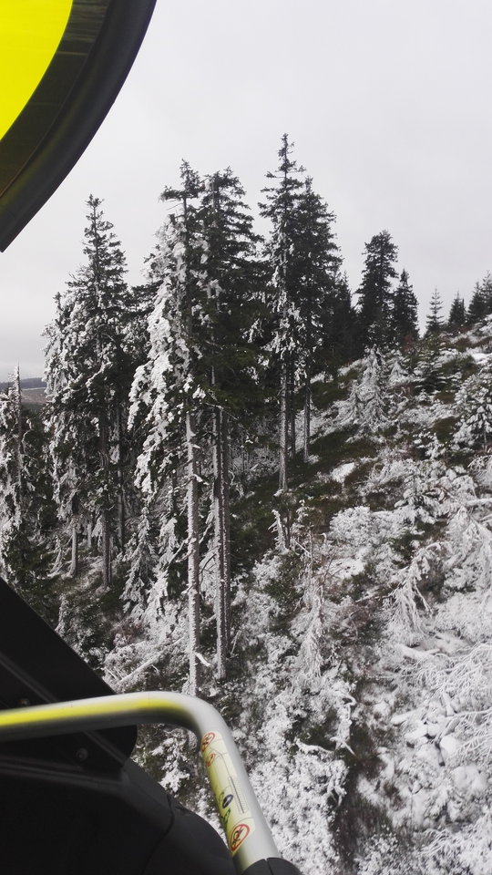 IMG_20181202_135549.jpg - yetii40