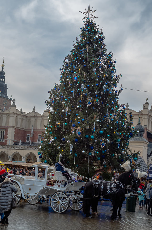 Sen pijanego leśniczego... - mystic