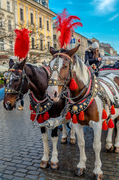 W czerwonym im do twarzy :)))