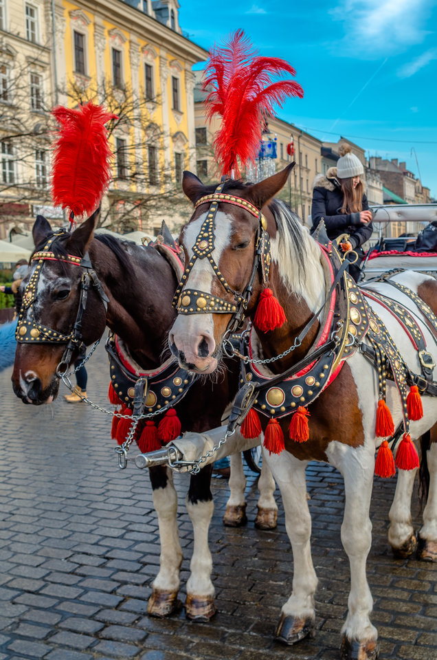 W czerwonym im do twarzy :))) - mystic