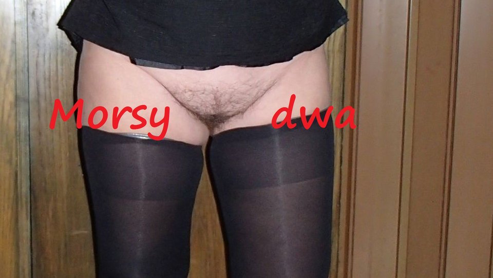 Nowe pończoszki. - Morsy_dwa