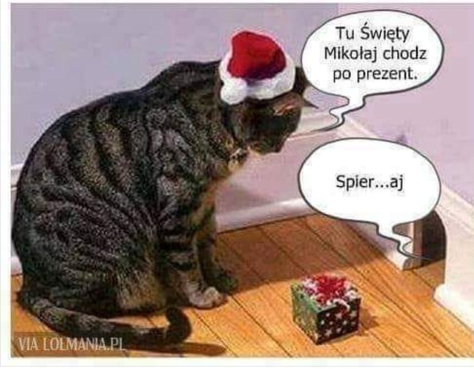 IMG-20181206-WA0042.jpg - sobotnimelanz