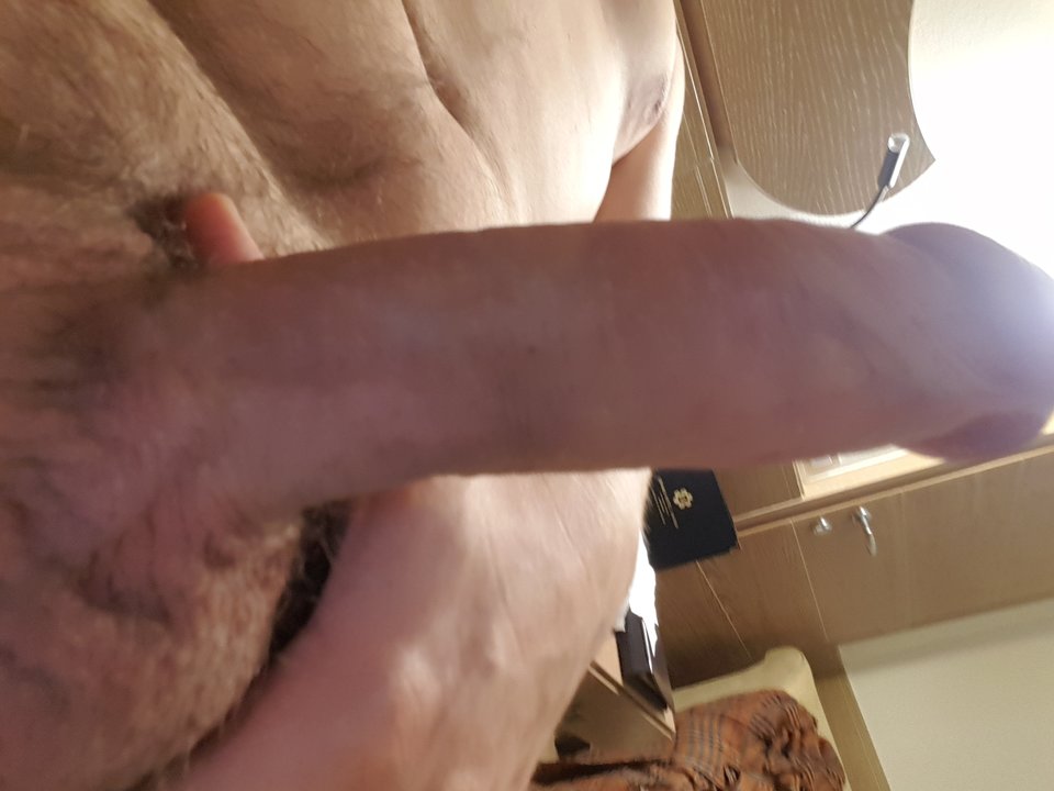 15442328882464794080029850378119.jpg - ruffryder