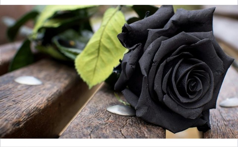 20181209_193834.jpg - Charms40