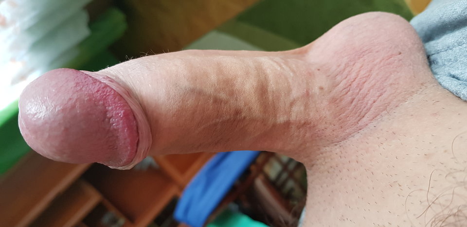 20181210_125504.jpg - albinek
