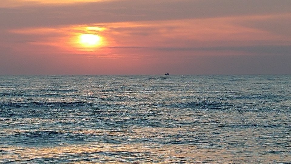 20170802_203618.jpg - Voltz1975