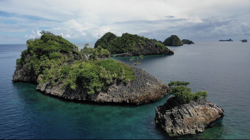 1A827508-92F5-47D8-847F-B8E1F5582B24.jpeg - ternate3