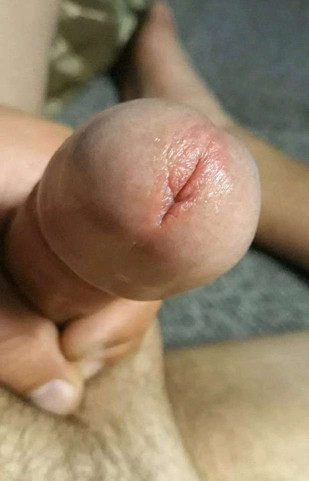 received_242501126524124_crop_705x1099.jpeg - Nienasycony0544