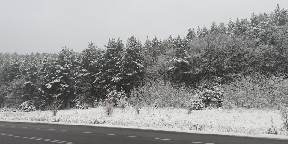 IMG_20181219_101837.jpg - adam1508