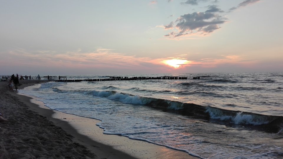 IMG_20170816_200842.jpg - ogier1991