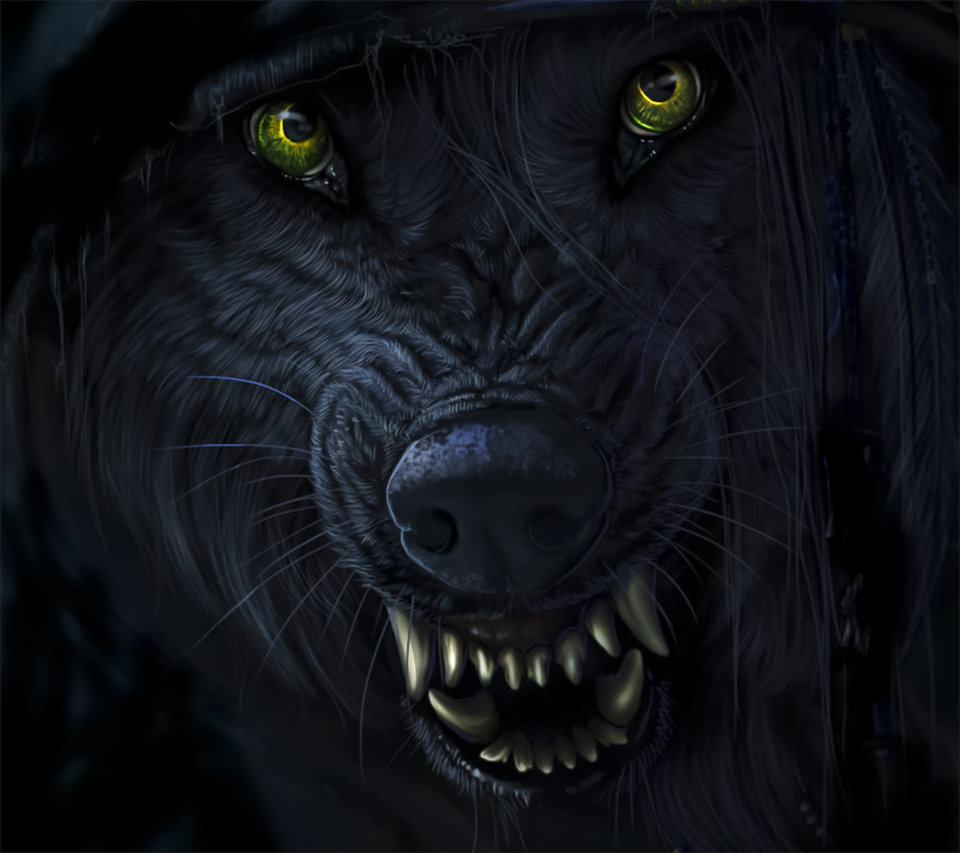Hunter-wallpaper-10880668.jpg - Voltz1975