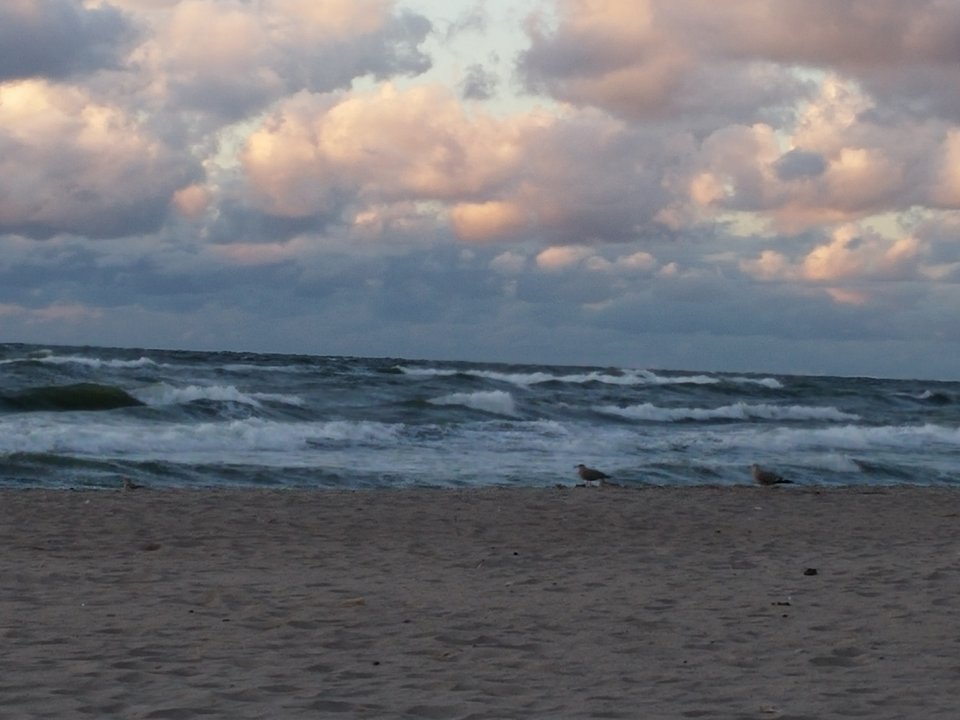 20160829_192155.jpg - Voltz1975