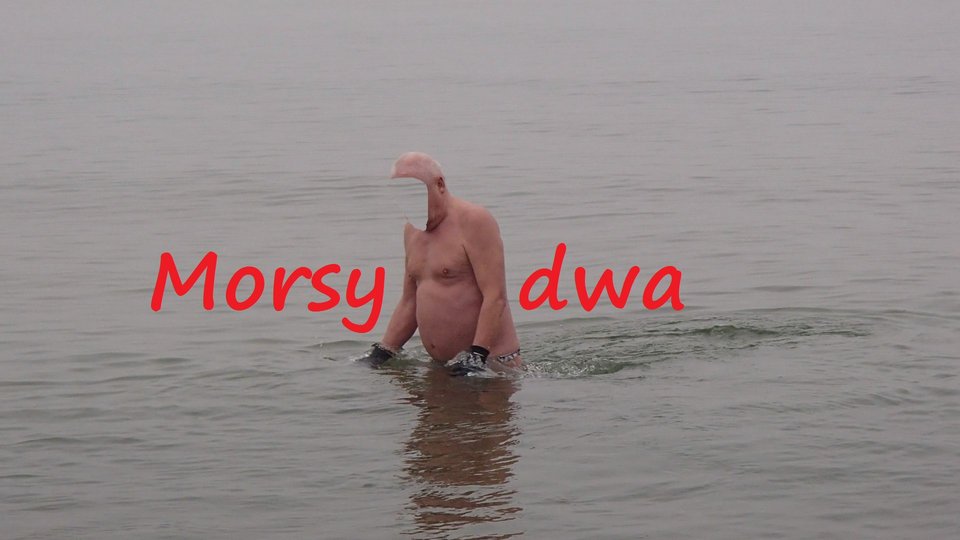 1 zimowa kąpiel ! - Morsy_dwa