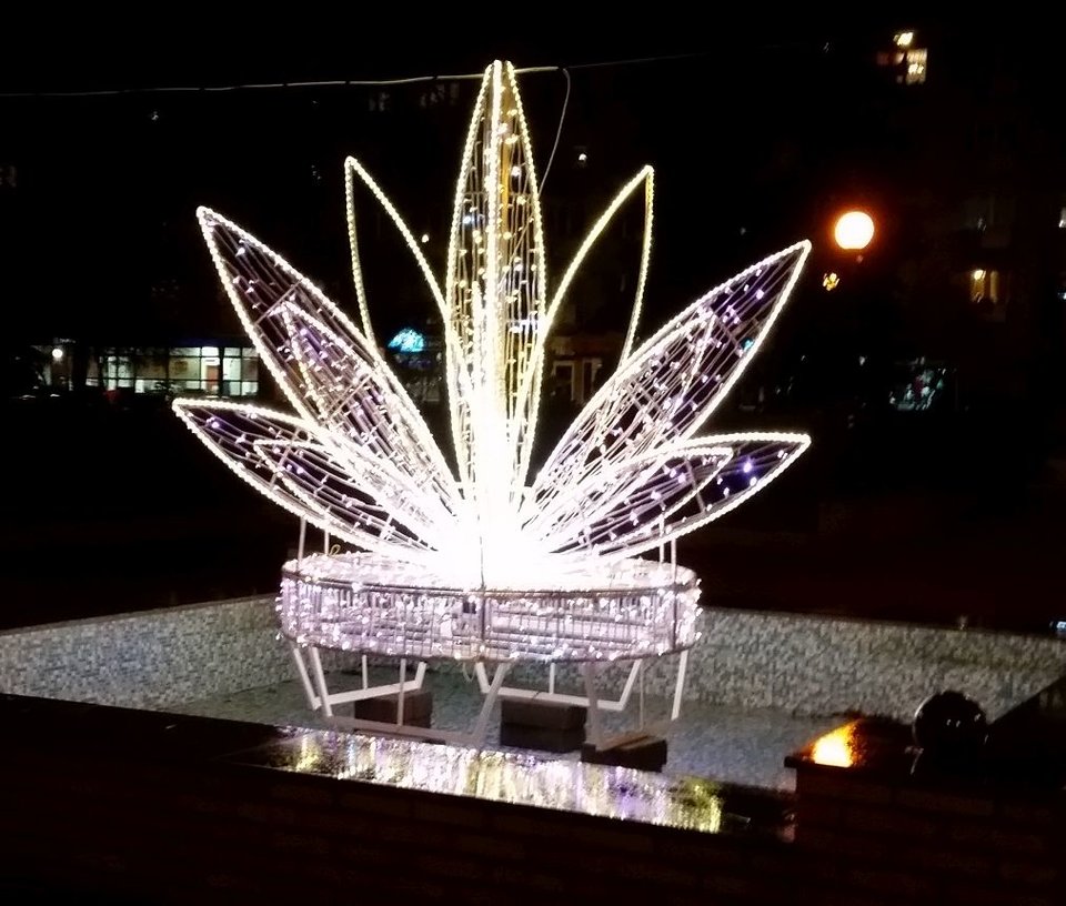 20181222_193753.jpg - Nice71