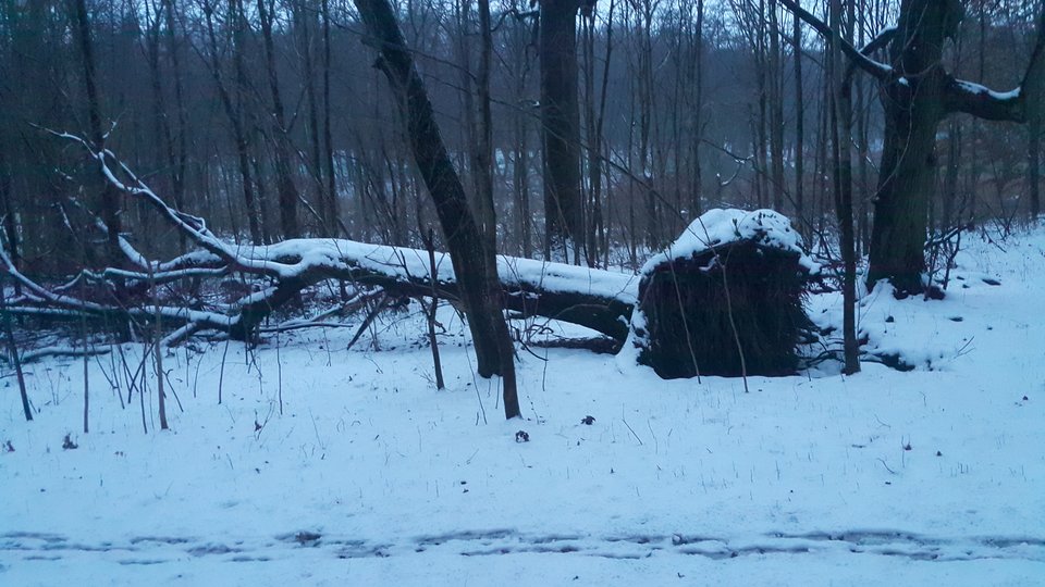 20181223_153538.jpg - reporter13