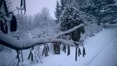 Idzie ku wiośnie