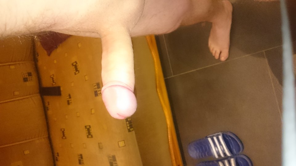 DSC_0273.JPG - Dominik1804