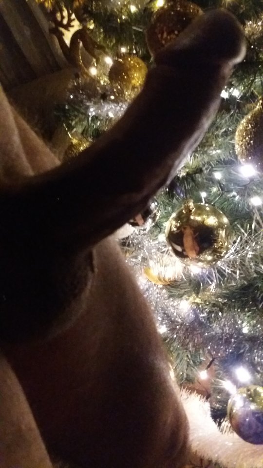 20181225_224923.jpg - Ohmygod69xxx