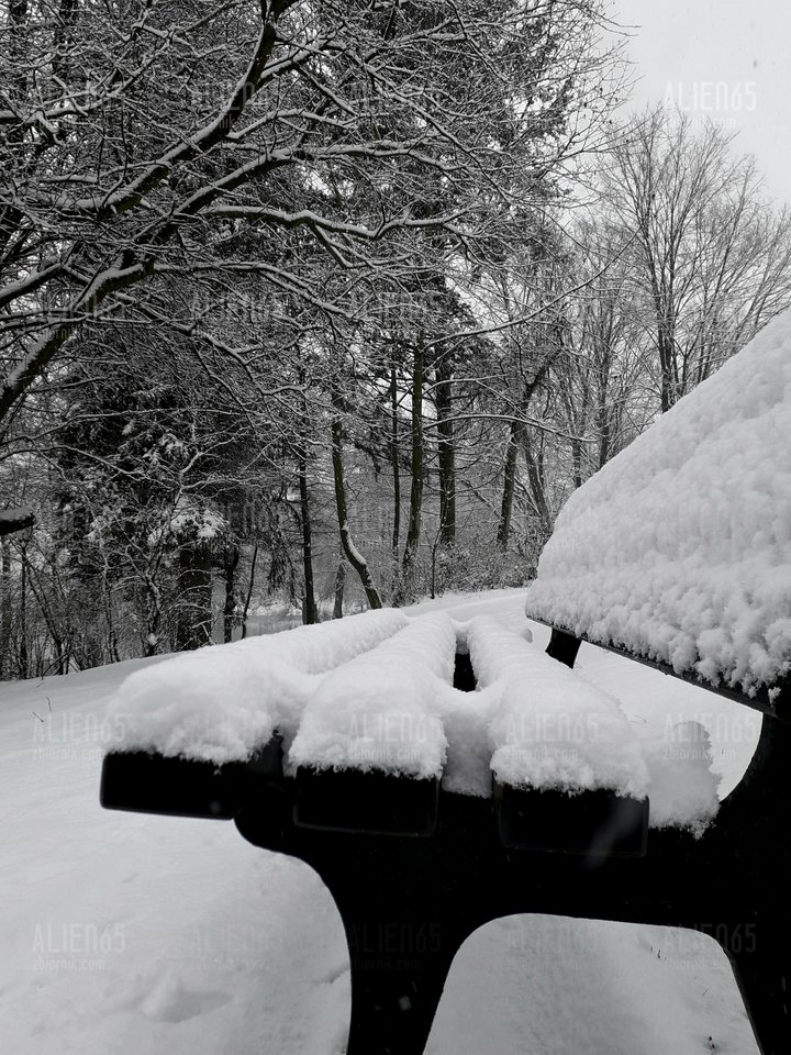 20181220_134806.jpg - Alien65