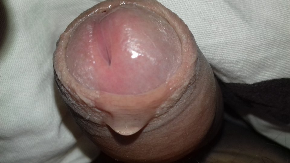 20181010_072352.jpg - przeznaczenie79