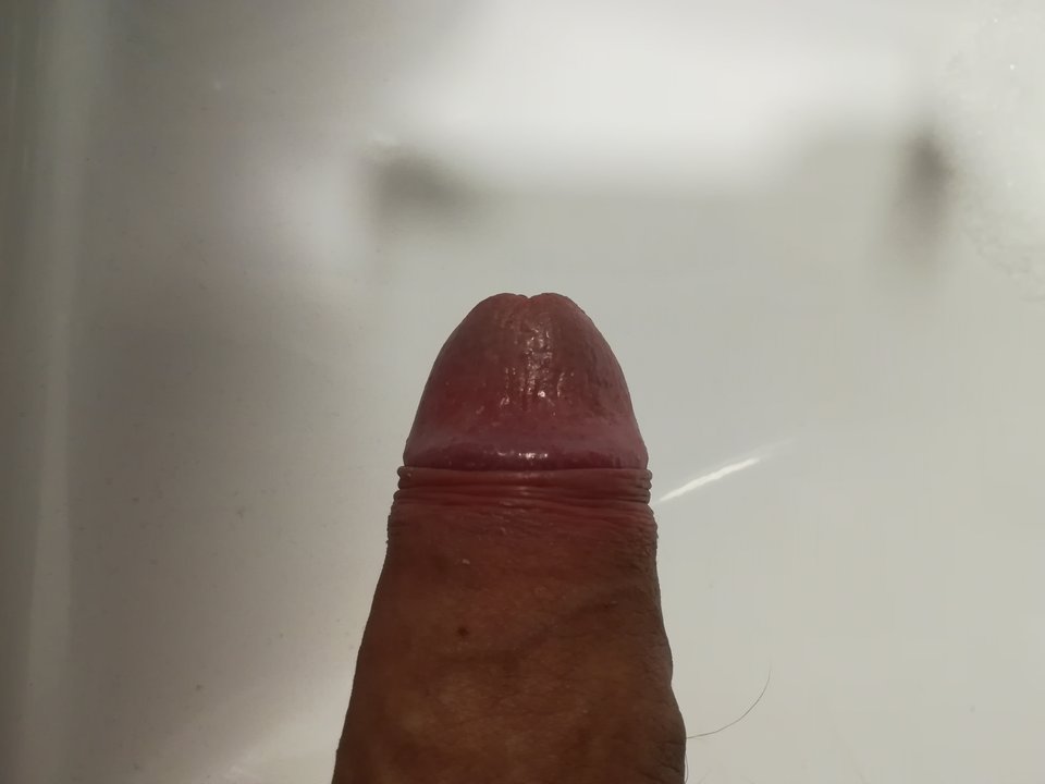 IMG_20181229_181235.jpg - bzyczek2015