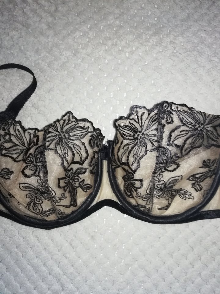 IMG_20181230_102505.jpg - MarioBi71