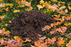 A kreciska szaleją :)))