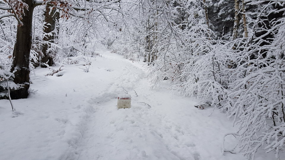 20181230_114938.jpg - CCC76