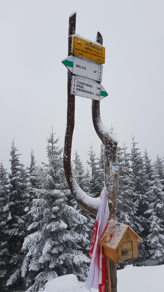 20181230_120651.jpg - CCC76