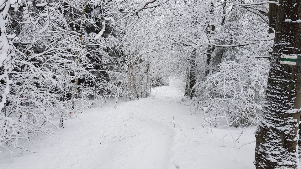 20181230_114950.jpg - CCC76