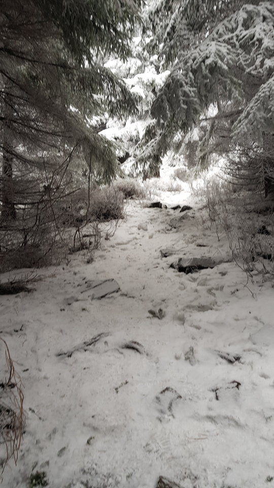 20181230_115659.jpg - CCC76