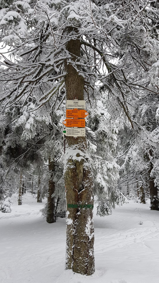 20181230_101233.jpg - CCC76