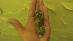 20181211_151131.jpg