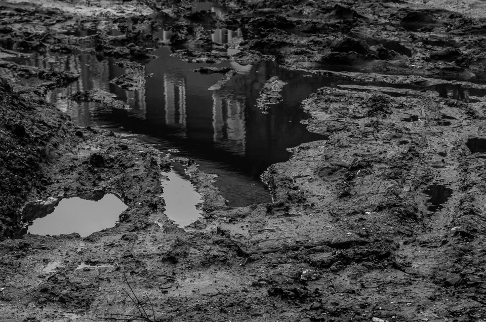 Happy New Year 2019 - mystic