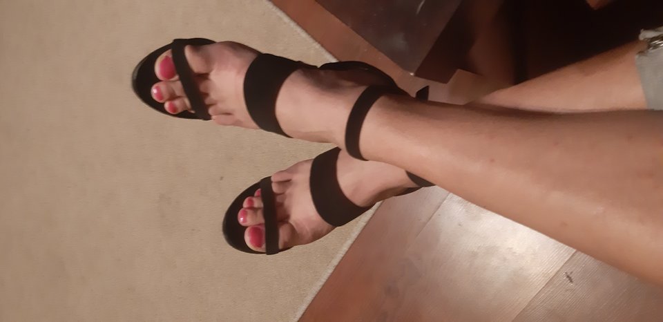 20191212_201812.jpg - Transpola