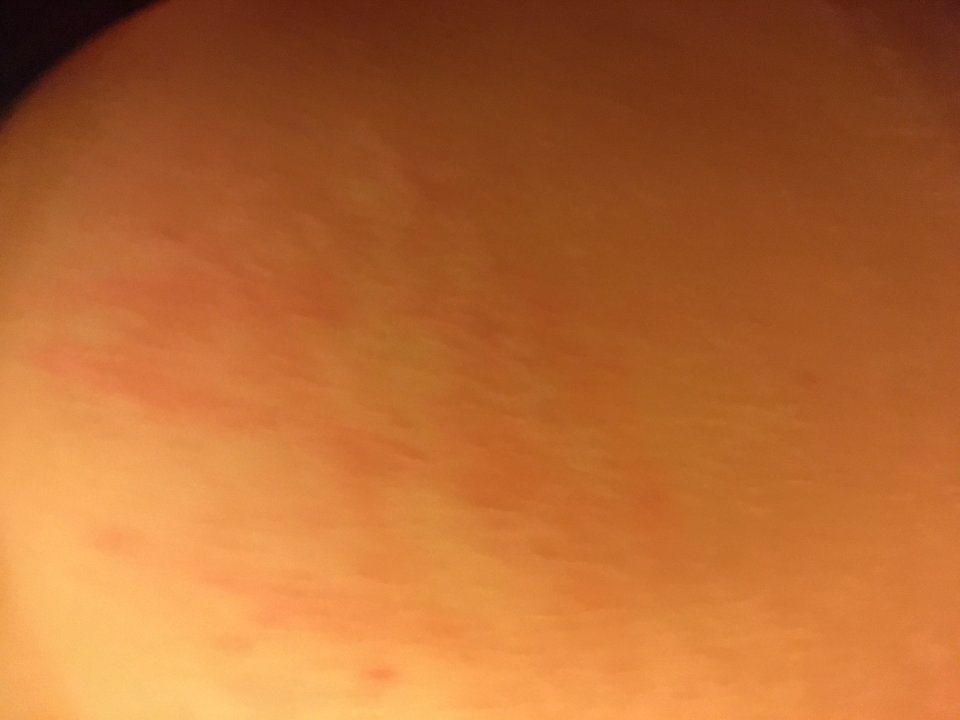 338EFD8A-DF5D-4070-92CA-72A2EABEF90B.jpeg - uleglapara77