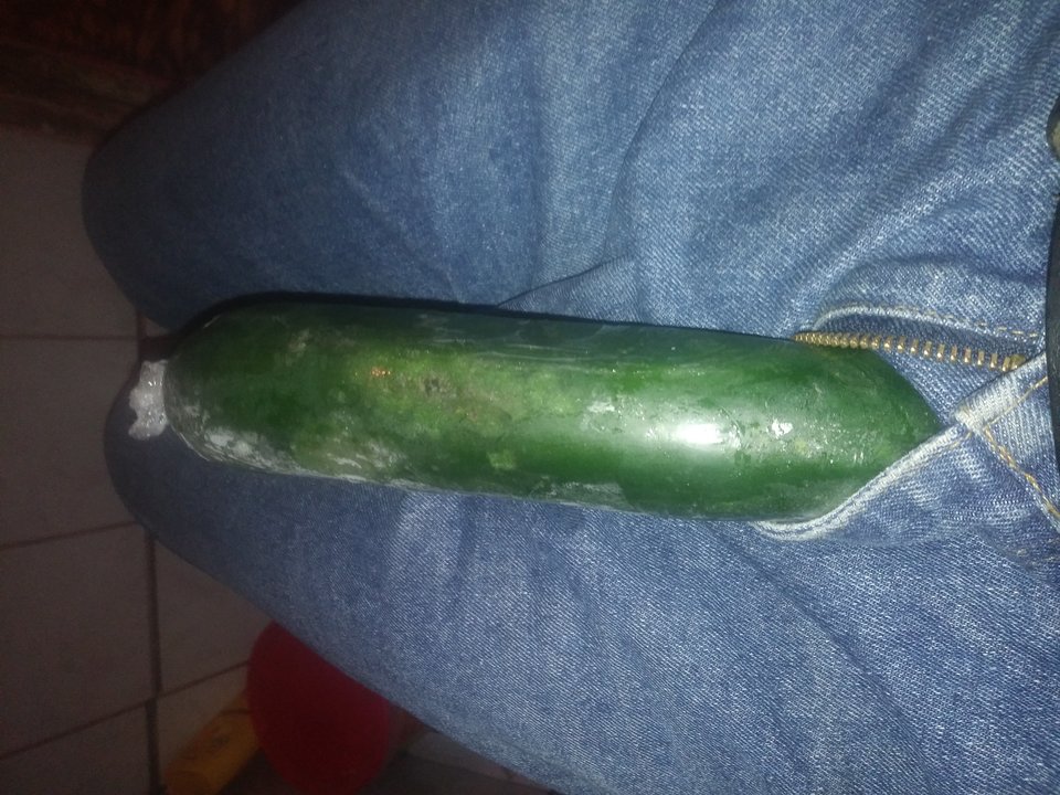 20191216_134336.jpg - PolDic