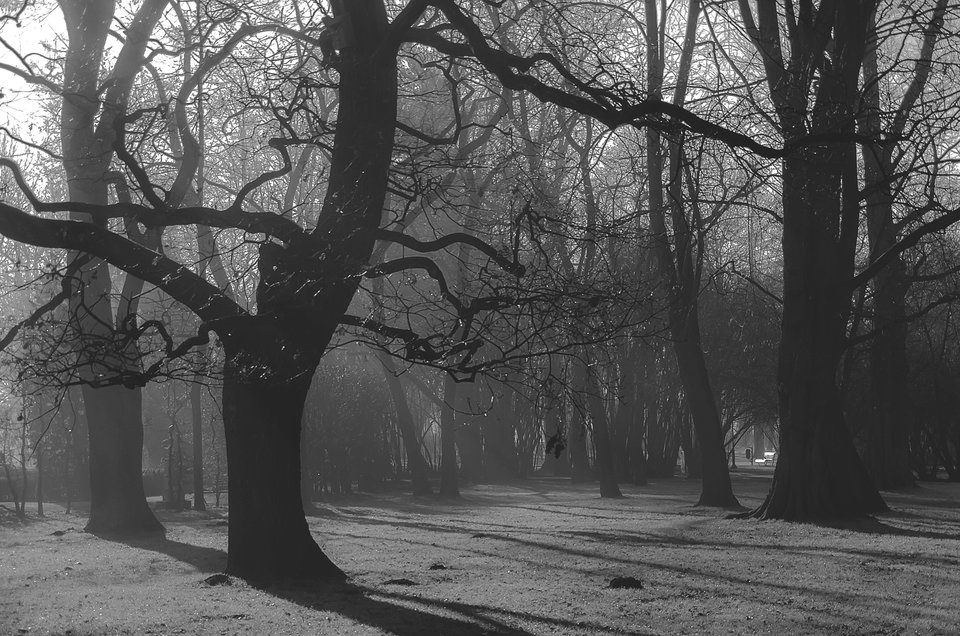 To już zima... - mystic