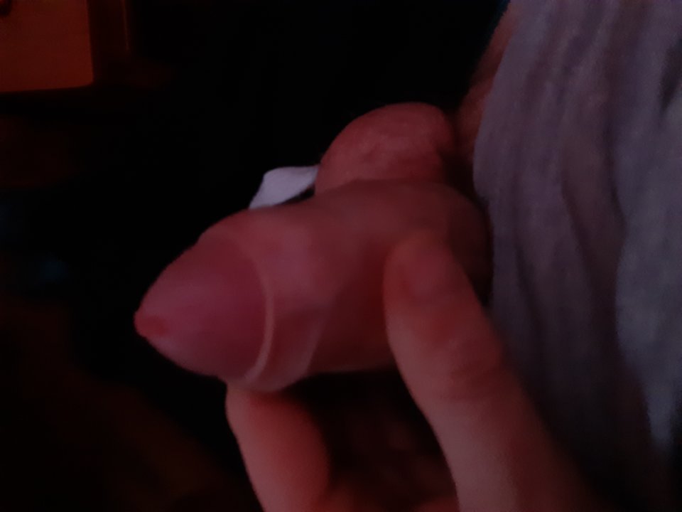 15766258005662091978475612706564.jpg - Losmentos