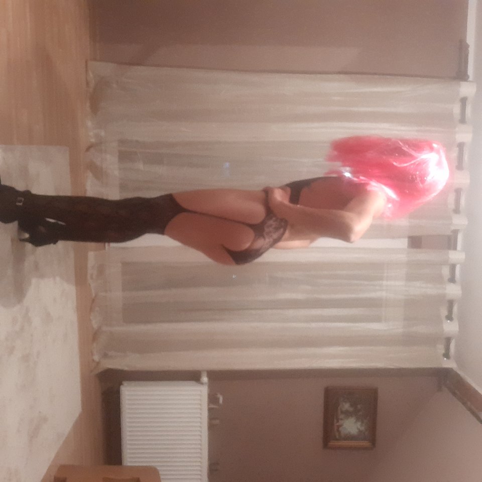 20191218_052731.jpg - Transpola