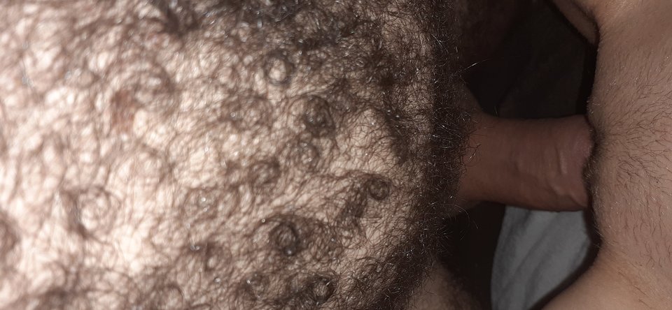 15767975842328614689697102179388.jpg - TylkoParki