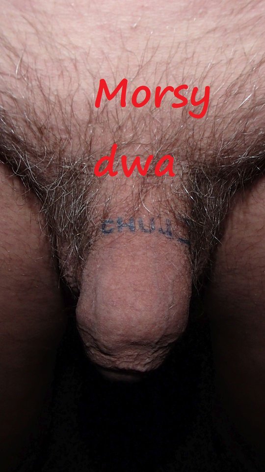 zbiornik 1064 - Morsy_dwa