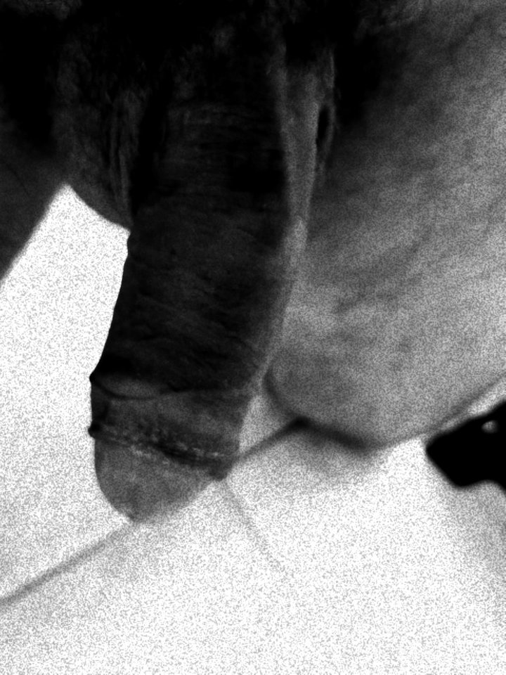 WhatsApp Image 2019-12-20 at 17.20.29.jpeg - WielkiWacek11