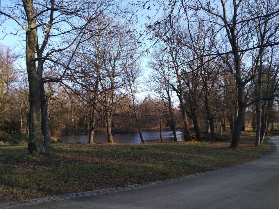 poz d.jpg - wojjtemonte