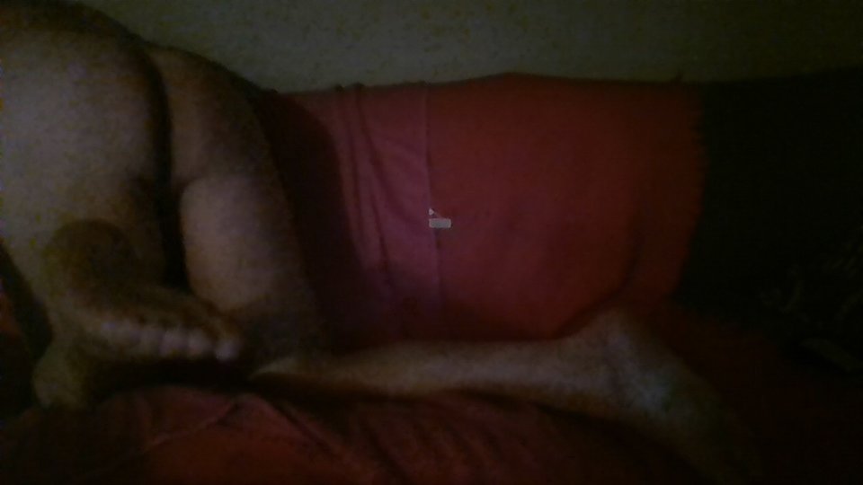 WIN_20191223_07_27_32_Pro.jpg - misiek50000