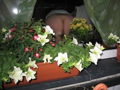 IMG_0675.jpg