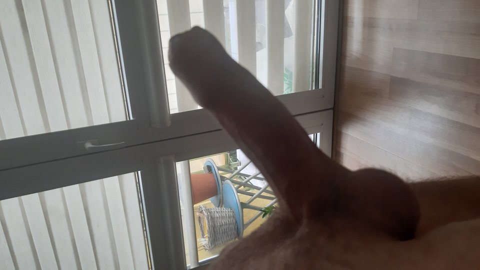 20191225_085312.jpg - Fajnaparka2