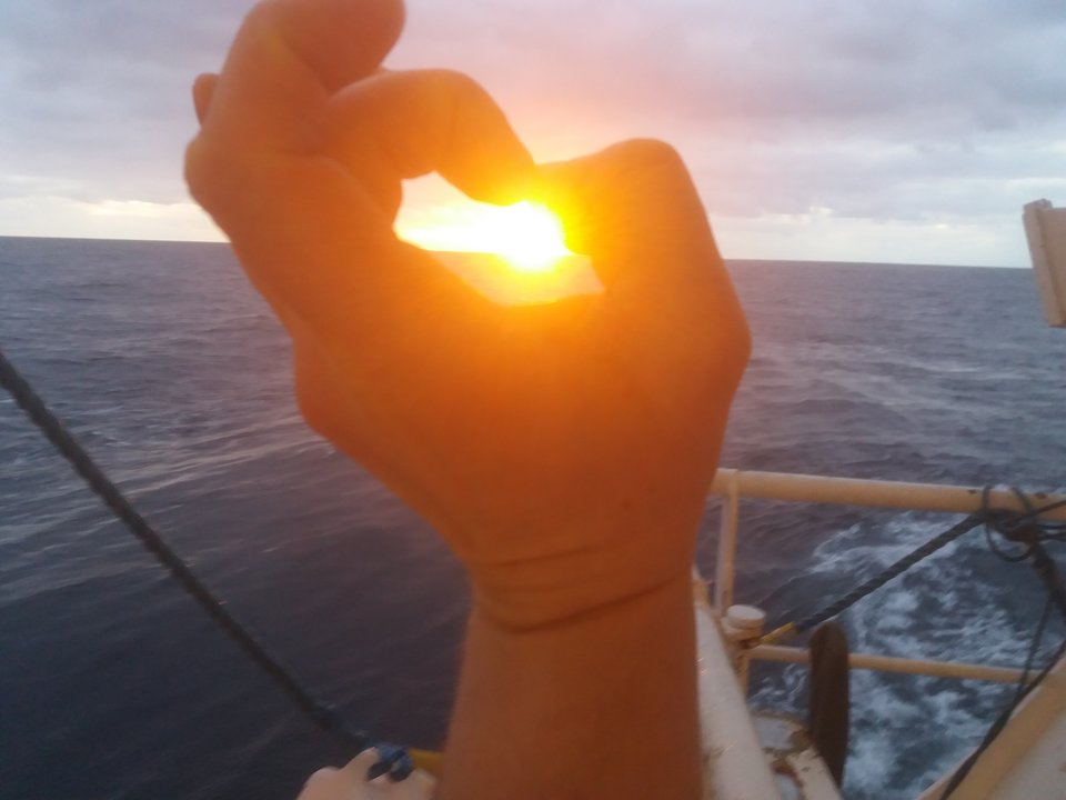 20190201_161219.jpg - Jajcus1